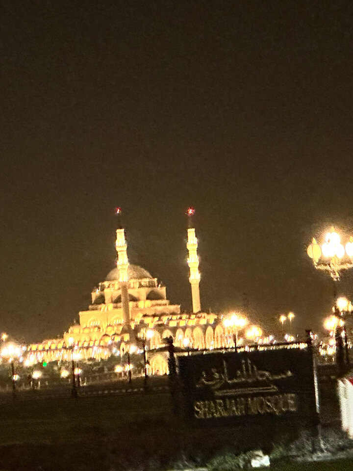 Dhow Cruise